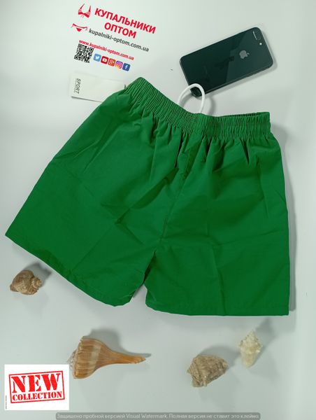 Шорти пляжні підліткові SameGame 802 у стилі HILFIGER з сіткою та кишенями, зелені. 120-160